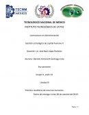 Práctica: Auditoria de recursos humanos