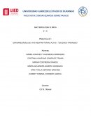 PRACTICA BACTERIOLOGIA CLÍNICA