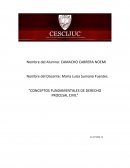 Conceptos fundamentales de derecho procesal civil