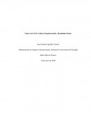 Administración de Negocios Internacionales, Institución Universitaria de Envigado