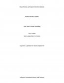 Ensayo Normas y principios de Derechos Laborales