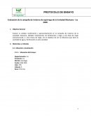 Evaluación de la campaña de invierno de espárrago de la Variedad Mexicana - Ica 2020