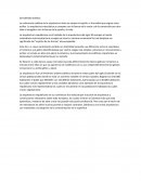 El traslado de la arquitectura del siglo 20