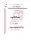 Ejercicios productividad