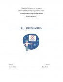 Coronavirus (COVID-19)