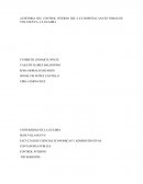 AUDITORIA DEL CONTROL INTERNO DEL E.S.E HOSPITAL SANTO TOMAS DE VILLANUEVA- LA GUAJIRA