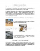 Perdida de la Biodiversidad