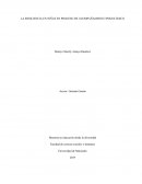 LA RESILIENCIA EN NIÑAS EN PROCESO DE ACOMPAÑAMIENTO PSICOLÓGICO