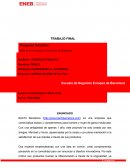 Estrategias empresarial ENEB