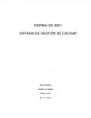 NORMA ISO 9001. SISTEMA DE GESTIÓN DE CALIDAD