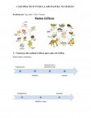 CASO PRÁCTICO Nº2 DE LA ASIGNATURA “ECOLOGÍA”