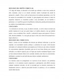 REFLEXION DEL DISEÑO CURRICULAR