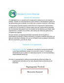 Clasificacion de Organigramas