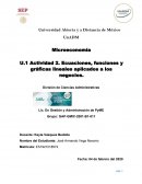 U.1 Actividad 2. Ecuaciones, funciones y gráficas lineales aplicados a los negocios