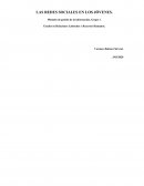 LAS REDES SOCIALES EN LOS JÓVENES