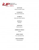 LA PERSPECTIVA DE GÉNERO EN TERAPIA FAMILIAR SISTÉMICA