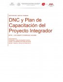 GESTION DEL CAPITAL HUMANO. DNC y Plan de Capacitación del Proyecto Integrador