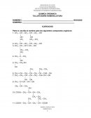 QUIMICA ORGANICA. TALLER SOBRE NOMENCLATURA