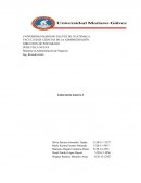 Laboratorio de proyectos. Caso Adidas Big Shoe