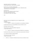 SEGUNDO AVANCE DE EXPOSICIÓN: PLAN DE IMPLEMENTACIÓN