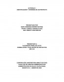 Formulacion de proyectos "la papita de mi tierra"