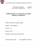 Análisis agenda 21 y programas de cambio climático en Honduras