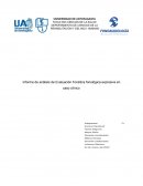 Informe de análisis de Evaluación Fonética fonológica expresiva en caso clínico