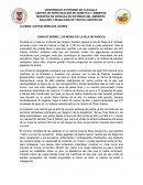 ENSAYO SOBRE: LOS MOAIS DE LA ISLA DE PASCUA