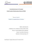 Las organizaciones y su entorno