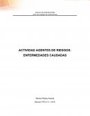 Actividad agentes de riesgos: enfermedades causadas