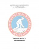 Monografia Titulos de renta fija