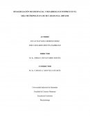DESAGREGACIÓN SOCIOESPACIAL Y DESARROLLO ECONÓMICO EN EL ÁREA METROPOLITANA DE BUCARAMANGA: 2005-2018