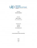 En busca del próximo producto extraordinario