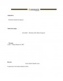 ESTRUCTURA DE PLAN DE NEGOCIO