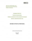INFORME DE PRÁCTICA PROFESIONAL Brotec
