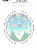 EJEMPLO DE CIRRICULAR