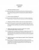 Capitulo 4 Pensadores Positivos obtienen Resultados Positivos
