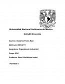Organización Industrial