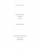 AUTORRETRATO DESCRIPTIVO DE UNA ADOLESCENTE GENERICA