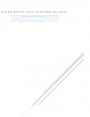 Políticas Publicas dentro del procedimiento para su formación