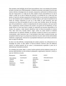 Investigaciones de mercado