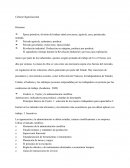 Cultura Organizacional Resumen