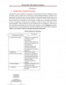 Desarrollo del talento humano