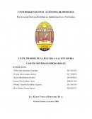 CASO DE SISTEMAS EMPRESARIALES