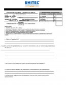 EXAMEN FINAL LICENCIATURAS EJECUTIVAS