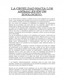 LA CRUELDAD HACIA LOS ANIMALES DE LOS ZOOLOGICOS