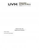 PROYECTO FINAL VITRO . ADMINISTRACION FINANCIERA