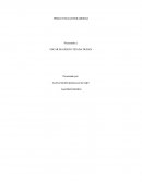 Fundamentos de mercadeo. ¿Qué tipo de organizaciones componen el sector?