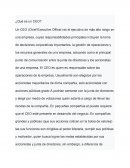 DESCRIPCION DEL CEO