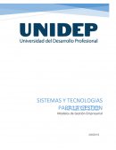 Sistemas y Tecnologias para la gestion